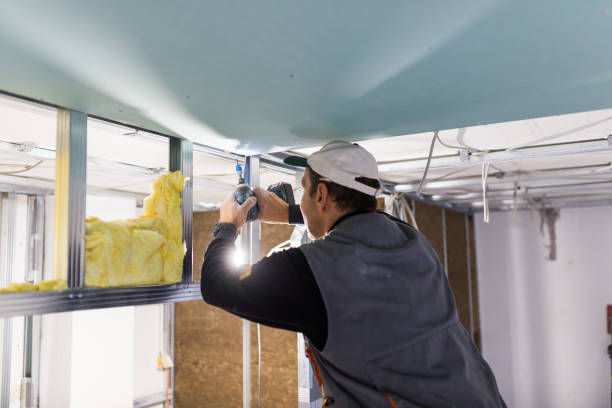 Best Insulation for Specific Applications in Wells, NV