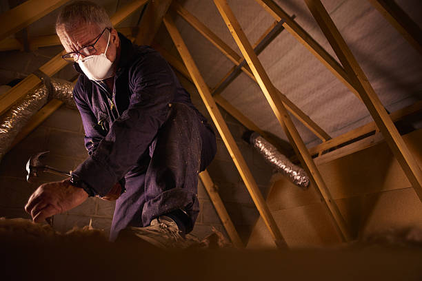Best Insulation Maintenance and Repair in Wells, NV