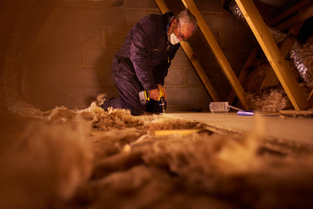Best Types of Insulation in Wells, NV